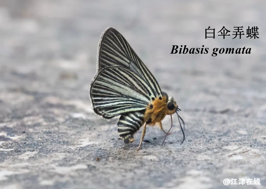 27838cc43e8fe5b397800de6cb36734c.jpg