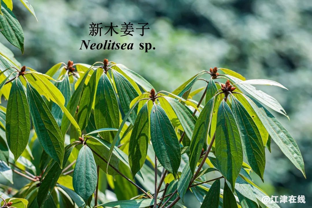 83c8983ada8c1f8904cca56965a29b05.jpg