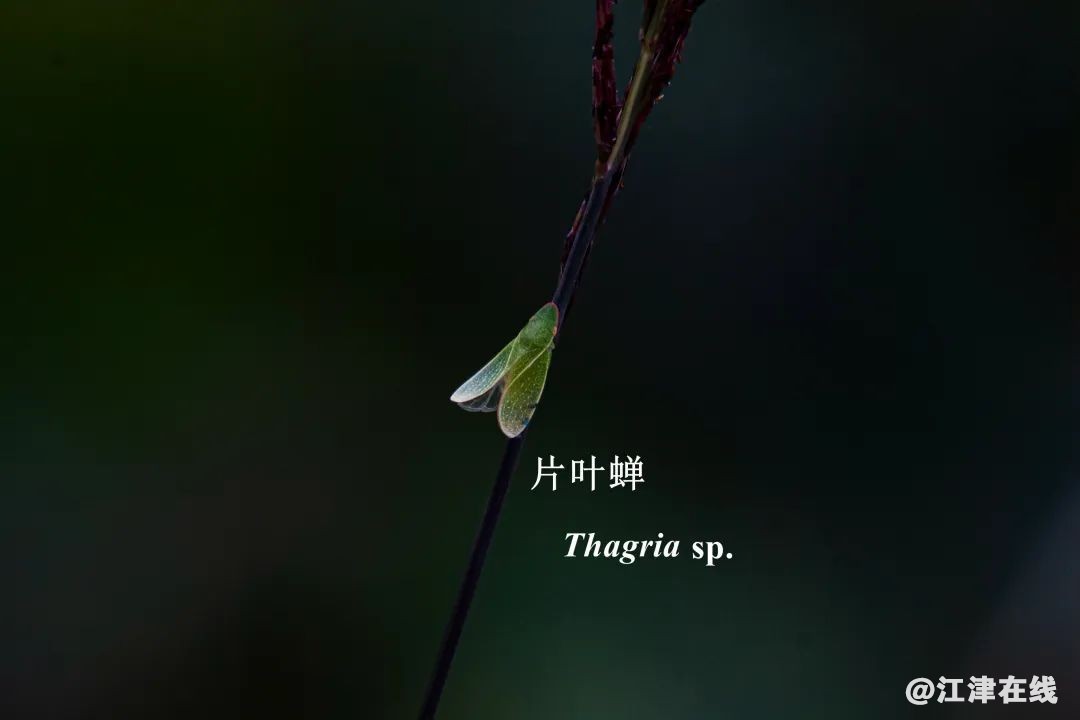 a5101f54bb4a9c1478086c907d69464d.jpg