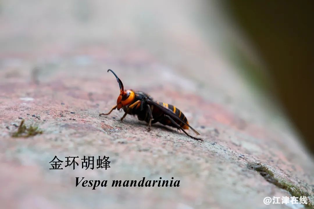 a6c90527f690ff7fc83e7a0cd77fb4ec.jpg