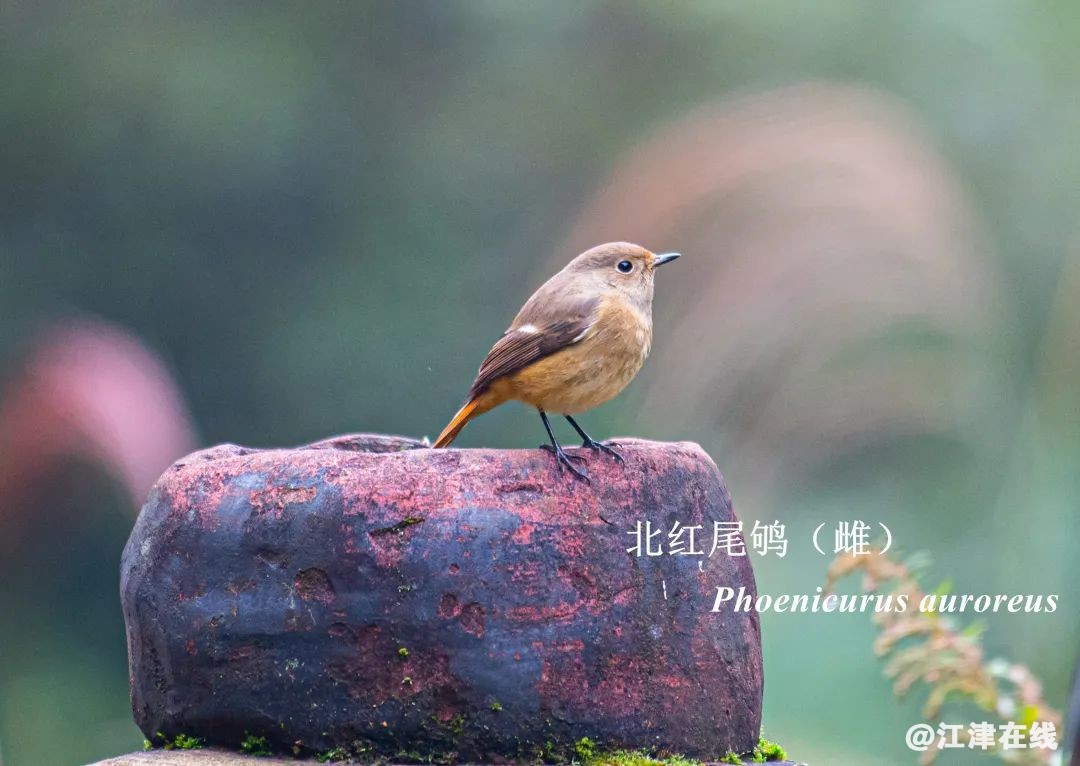 c8823969d1aa4cc85472812dac5454f9.jpg
