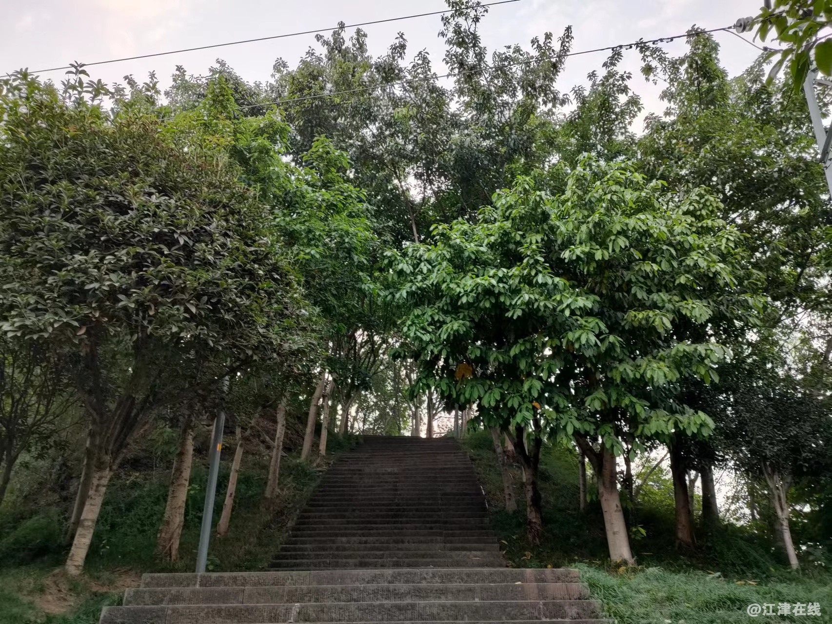 微信图片_20221108112347.jpg