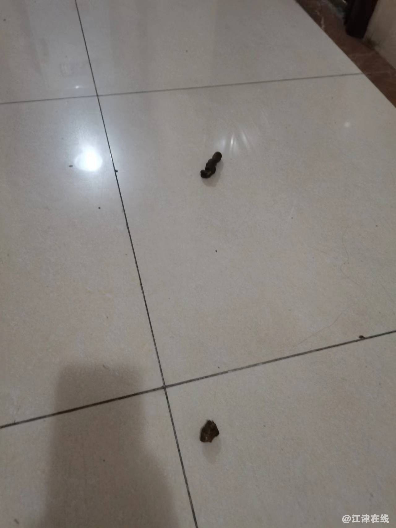 微信图片_20221110103045.jpg