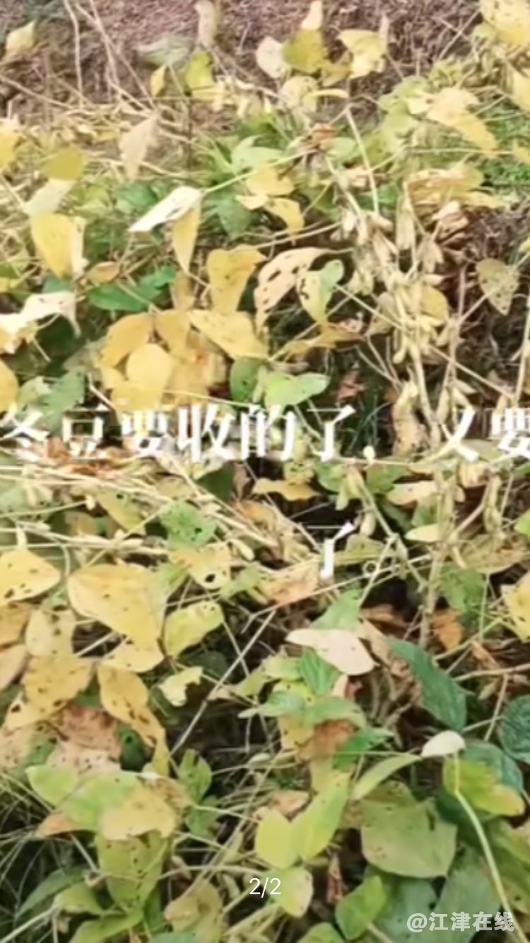 20221111105821front1_0_420898_FkQOBdEU9kBdwGtfILcIMjMef3jU.jpg