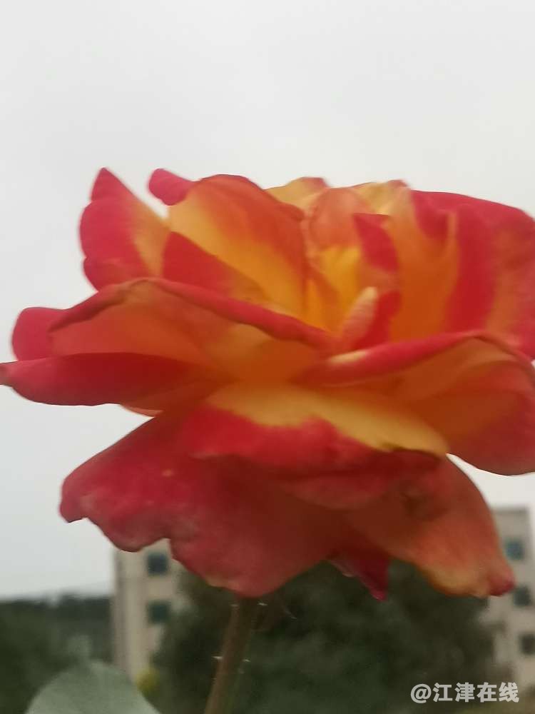 20221116054906front2_0_418174_FkKZ8-CJguFQnWDxJH5Pq00sYctv.jpg