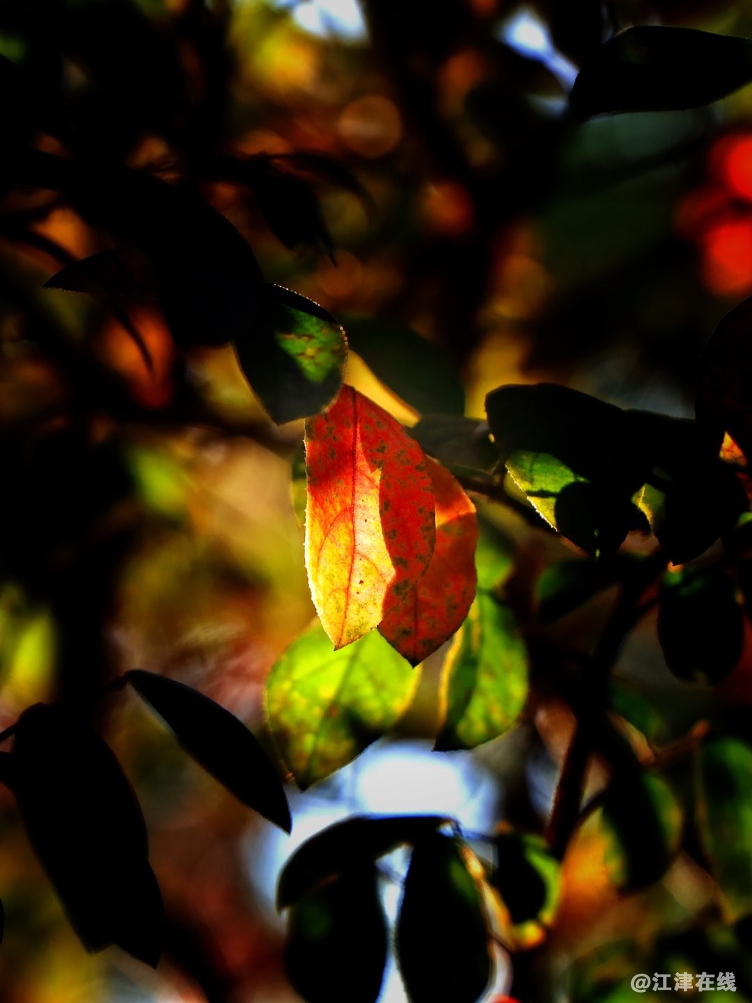 20221119192408front1_0_35589_Fp0a2rOmV2QcnjAmggVb6z1Gom0l.jpg