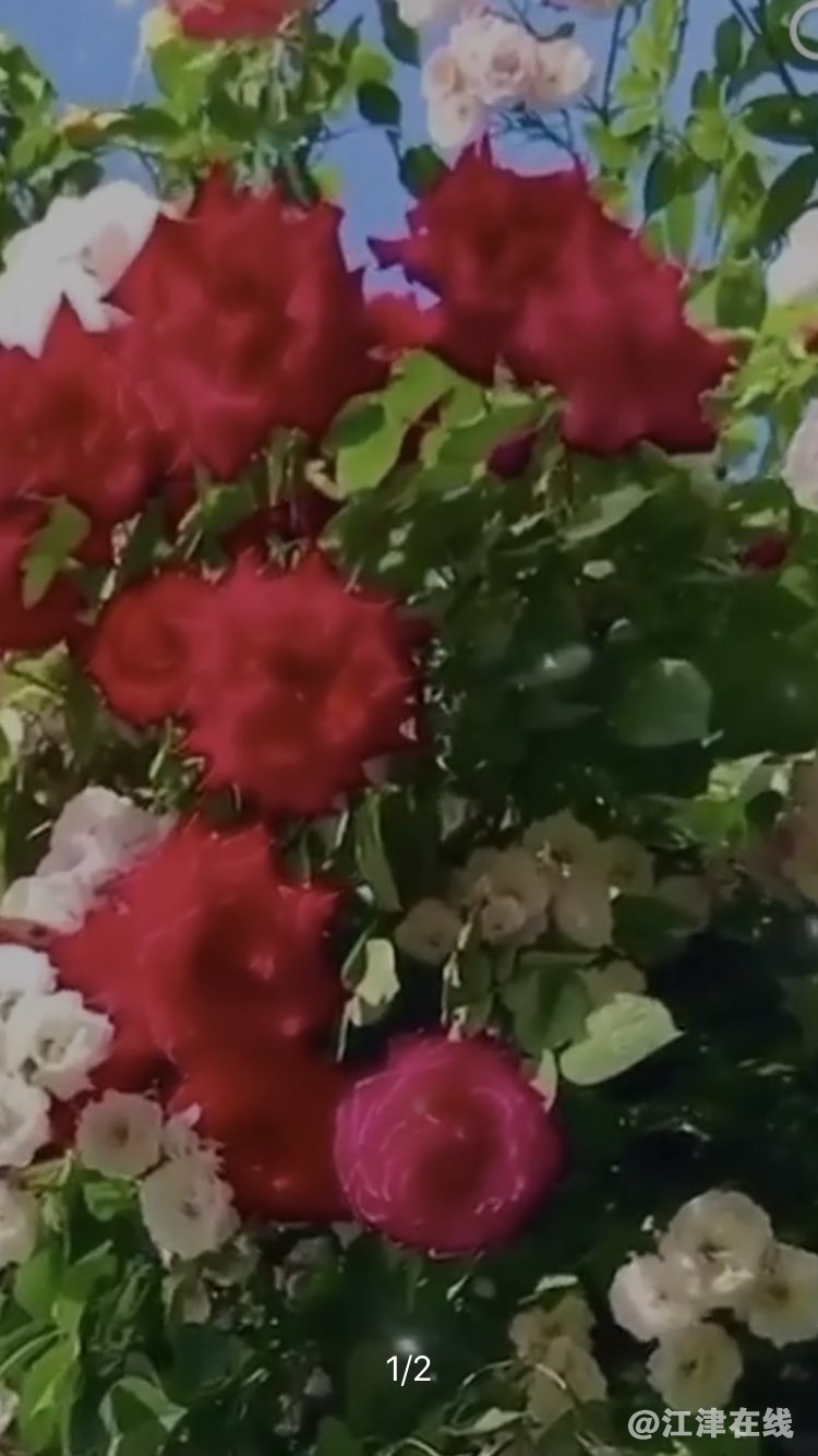 20221127181232front1_0_420898_FuaFp2ey0gWrPyTkDsywseqv7eH7.jpg