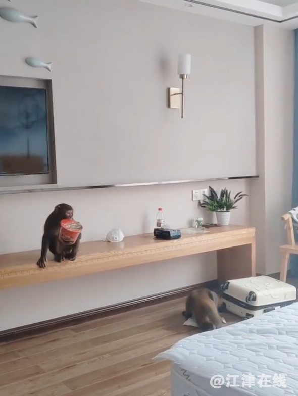 微信截图_20221128095516.png
