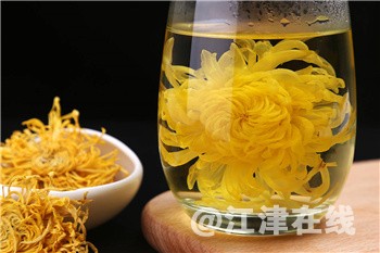 金丝皇菊８.jpg.crdownload.jpeg.crdownload.jpg.crdownload.jpg