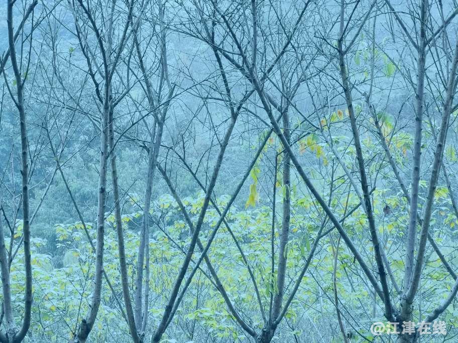 20221208225947front2_0_49039_FlhCyRSw_uAum7gBlKia3oW9IU5y.jpg