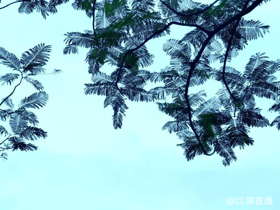 20221208225955front2_0_49039_FmpHeY3hI4QPgD6W3m2pBkjx_gGj.jpg