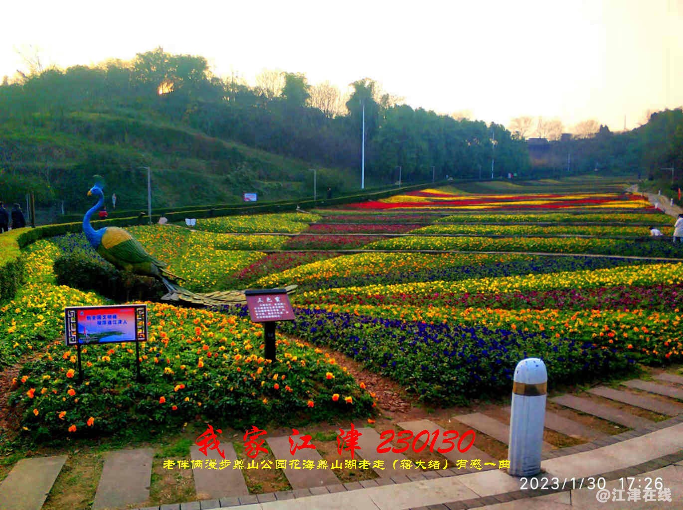 JYZ 20230130 WBQ (19).jpg