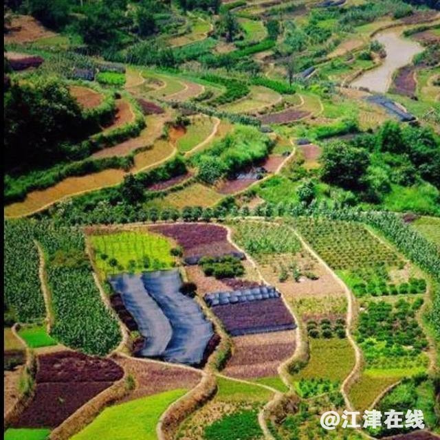 ?url=http%3A%2F%2Fdingyue.ws.126.net%2F2023%2F0217%2Fada0f4b8j00rq6skd002ic000hs00hsg.jpg