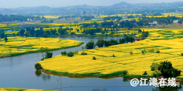 watermark,bucket_baidu-rmb-video-cover-1,image_YmpoL25ld3MvNjUzZjZkMjRlMDJiNjdjZWU1NzEzODg0MDNhYTQ0YzQucG5n,type_RlpMYW5UaW5nSGVpU01HQg==,w_16,text_QOWNjum-mee9kQ==,size_16,x_12,y_12,interval_2,color_FFFFFF,effect_softoutline,shc_000000,blr_2,align_1.jpg