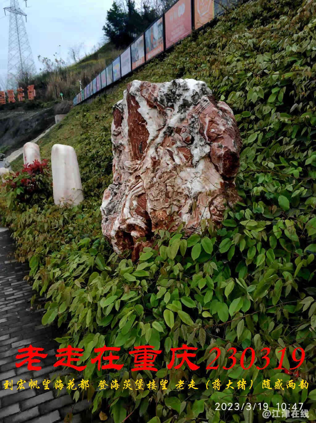 JYZ 20230319 WBQ (10).jpg
