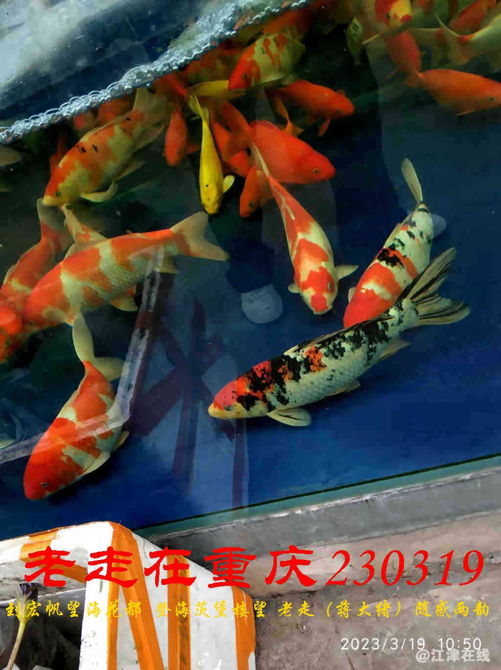 JYZ 20230319 WBQ (14).jpg