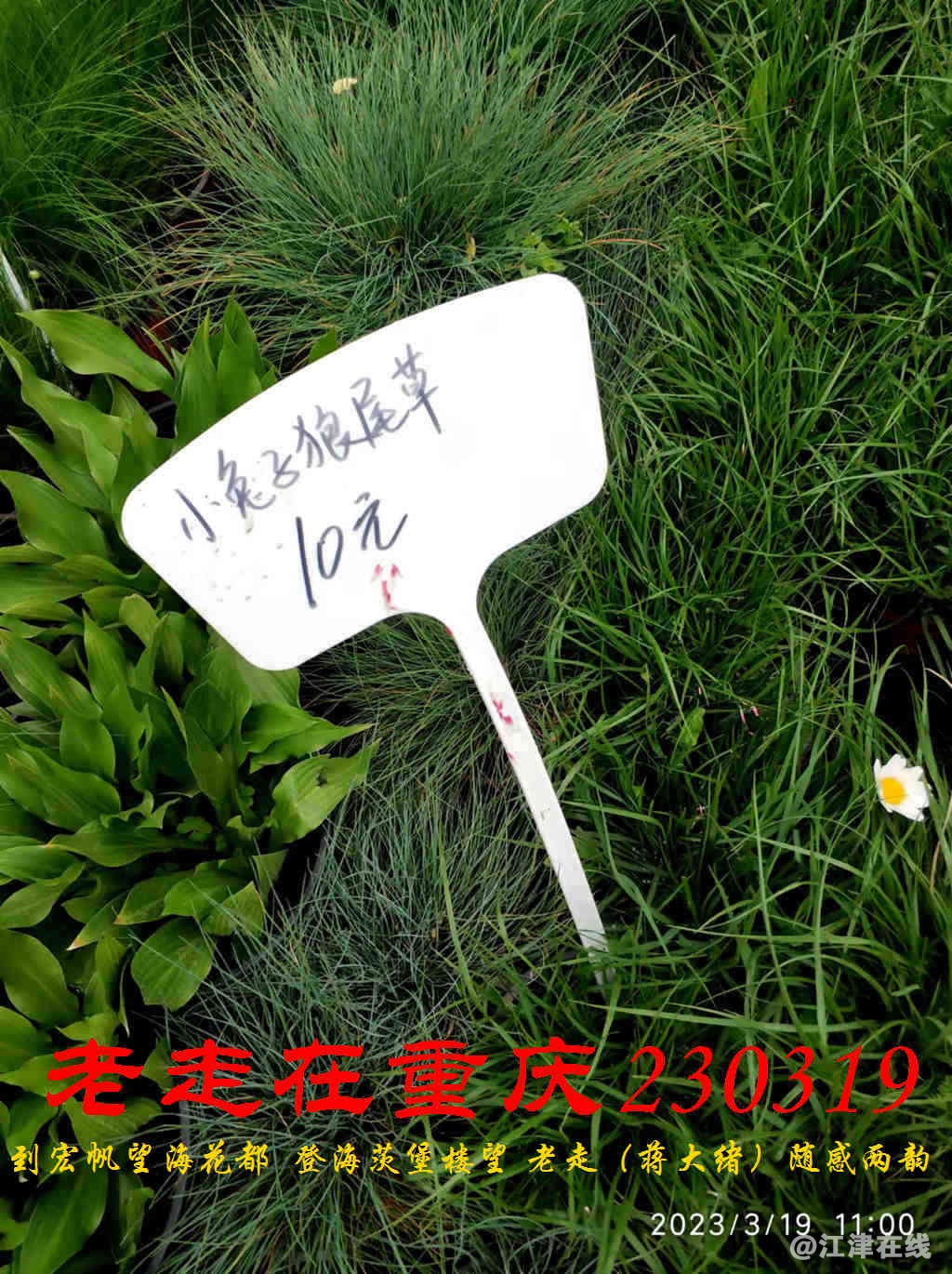 JYZ 20230319 WBQ (17).jpg