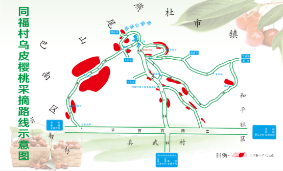 20cb8370f2db2fa90fc992049b4fec3e.png