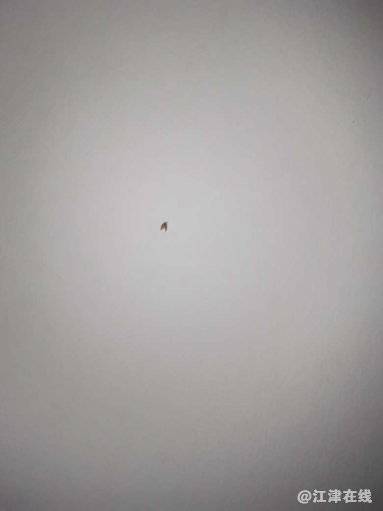 20230411225645front2_0_364688_Fv-hqHGBqK2QUxJ_6STJYY0btxml.jpg