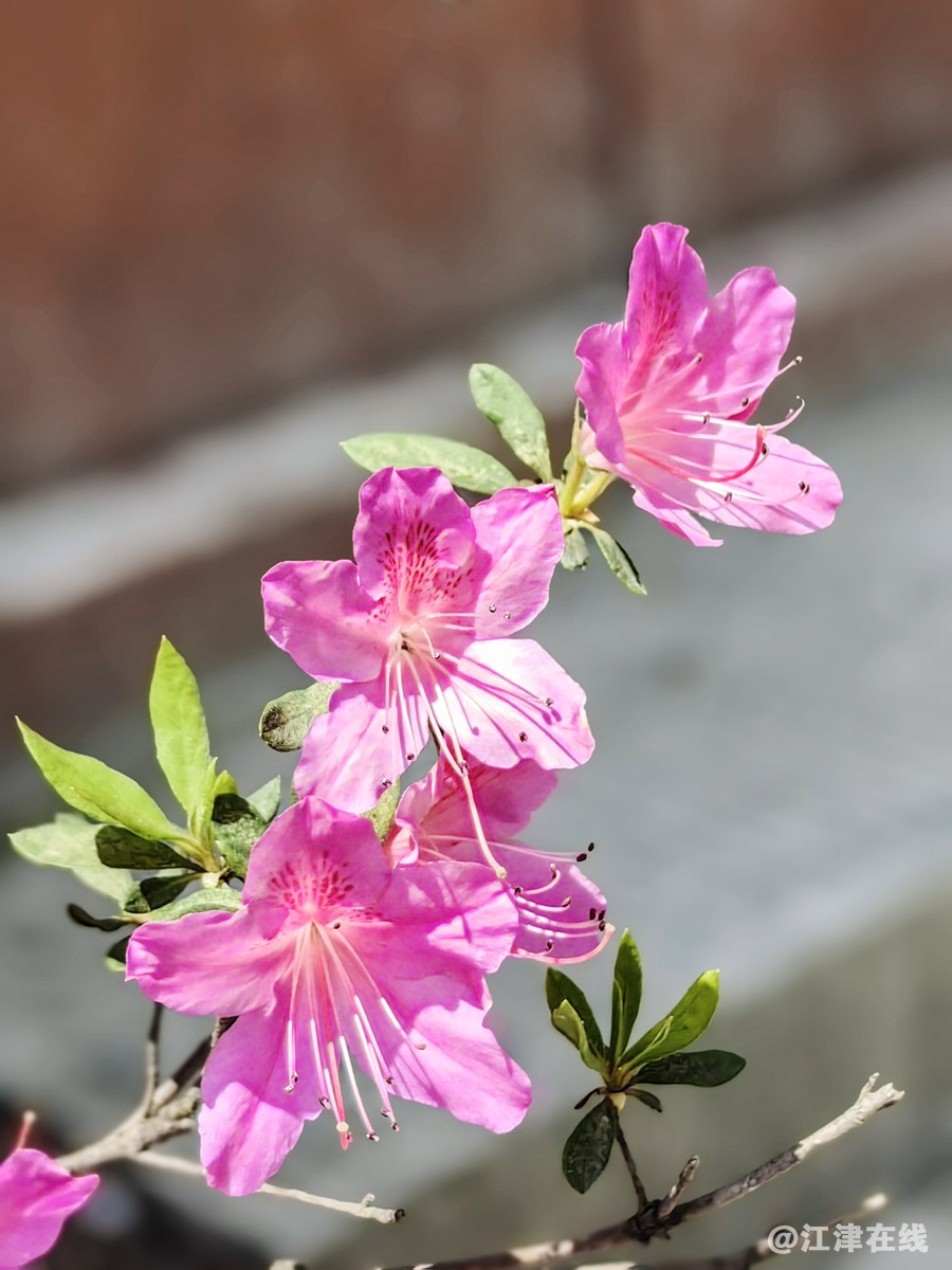 IMG_20230415_120819副本副本.jpg