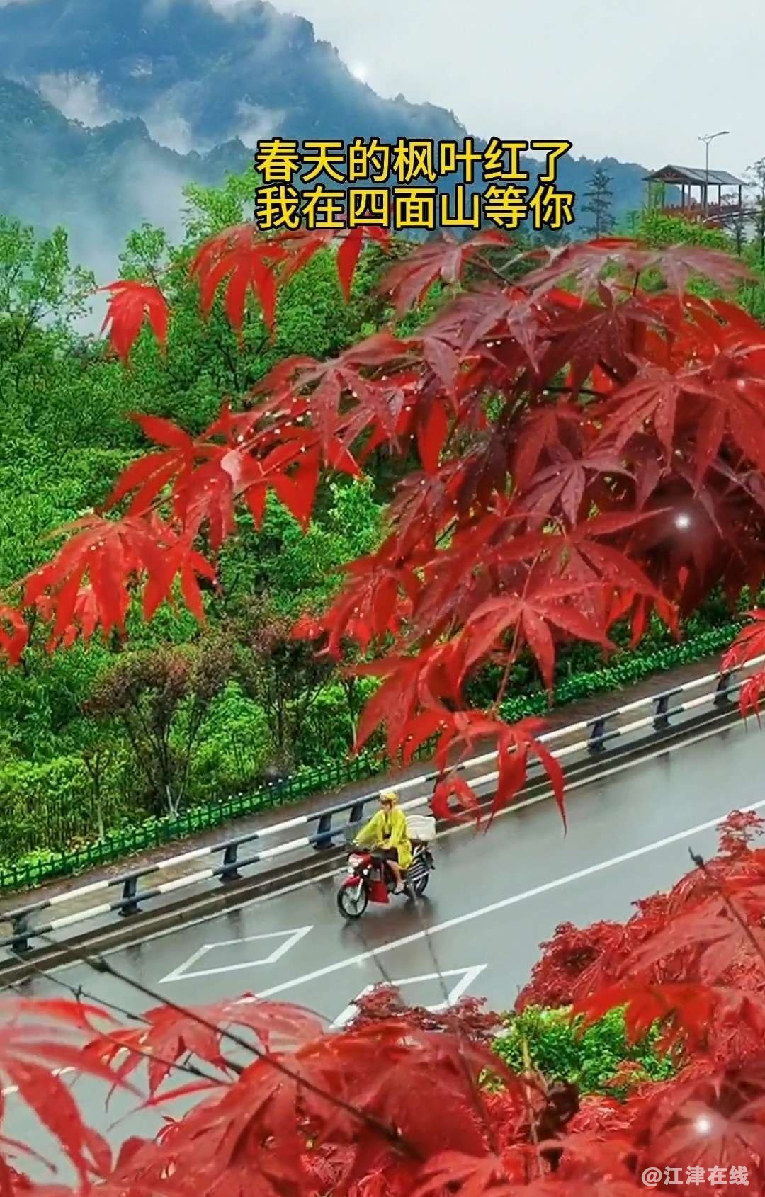 20230425141355front2_0_49039_FuNwu72lvPikjXhEi3ttQ9NEclZh.jpg