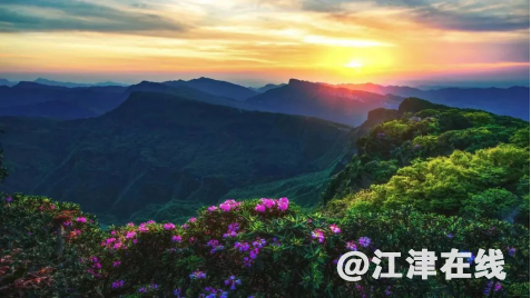 105422ahlch89933l7l33c.png