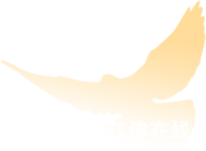 165239n8h1a4uwg4zwoe4w.png