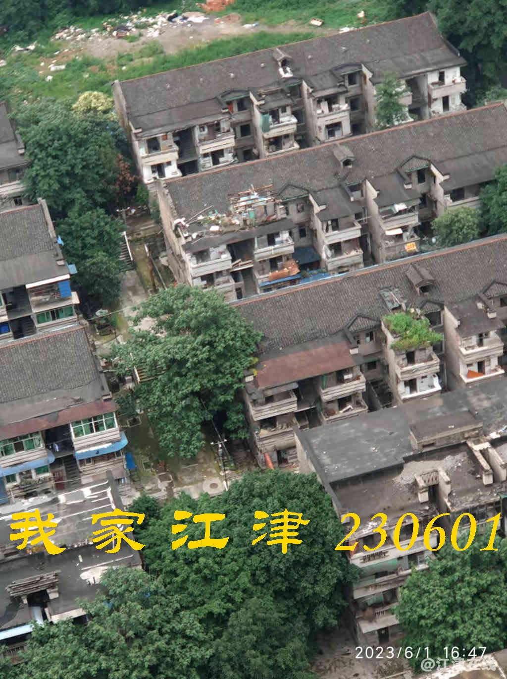 JYZ 20230601 WB (16).jpg