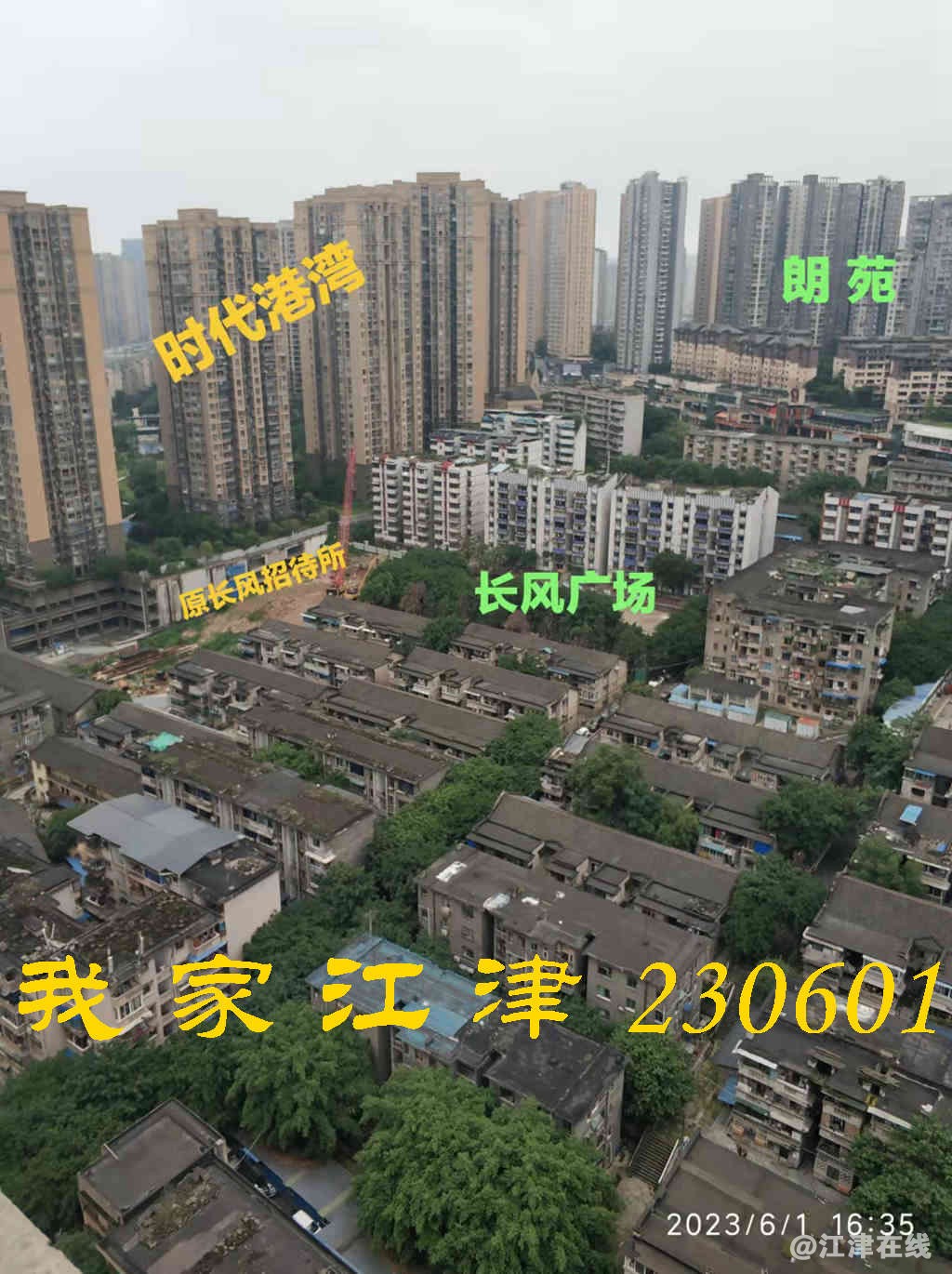 JYZ 20230601 WB (21).jpg
