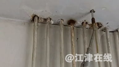 微信截图_20230612170355.png