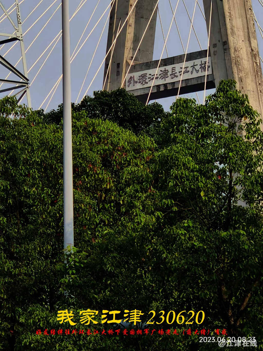 JYZ 20230620 WBQ (5) - 副本.jpg