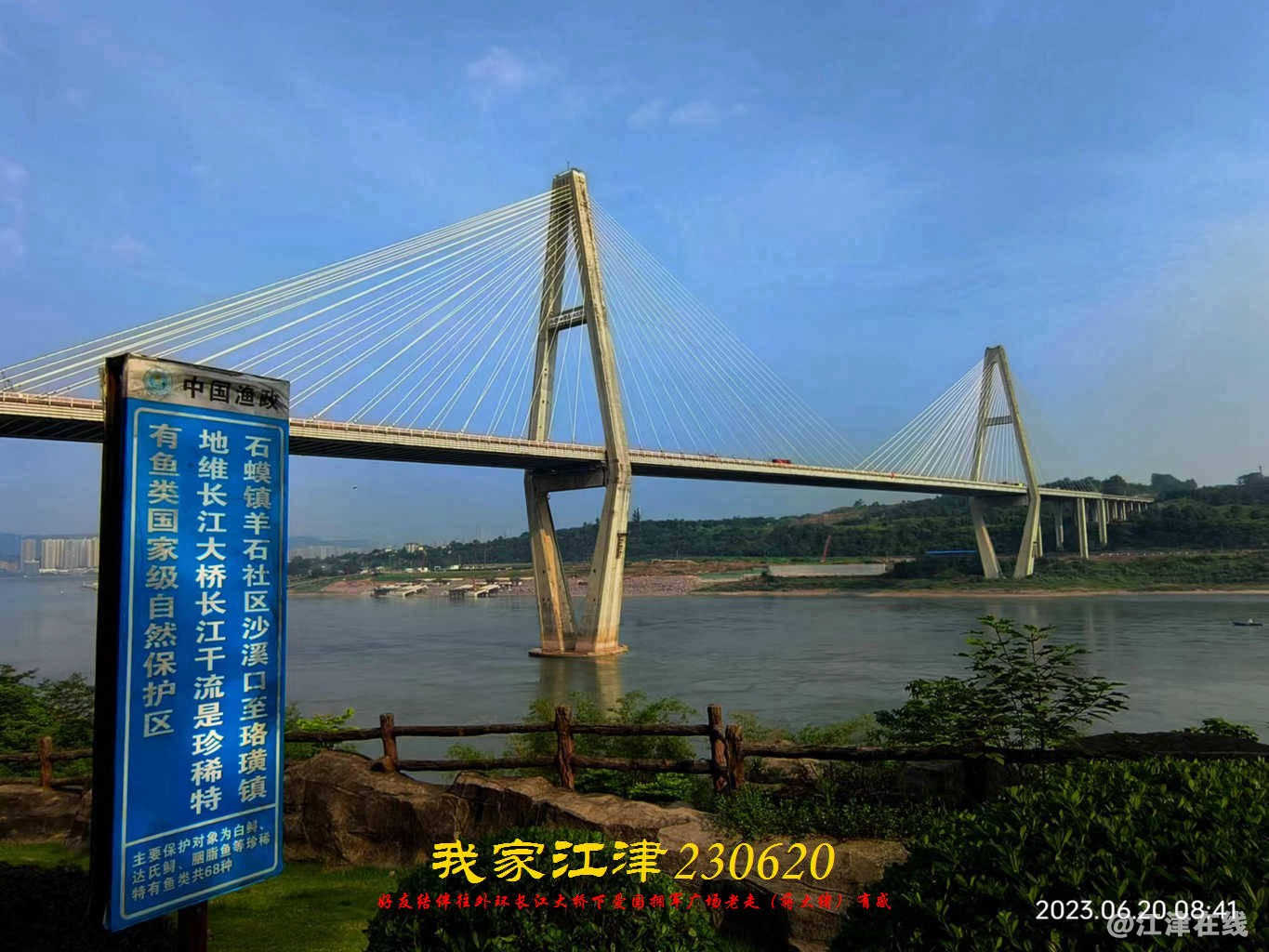 JYZ 20230620 WBQ (9) - 副本.jpg