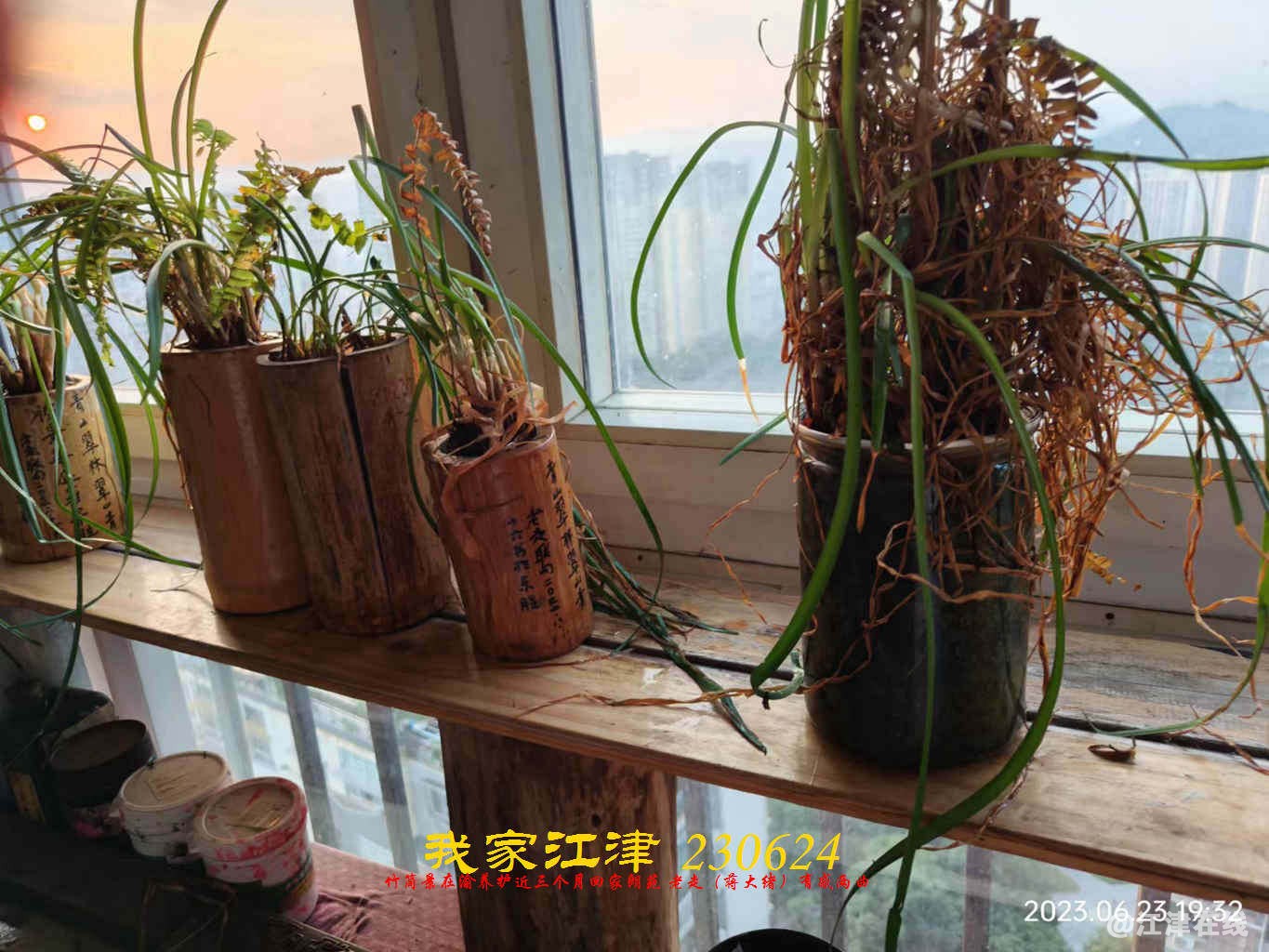 JYZ 20230624 WBQ (2) - 副本.jpg