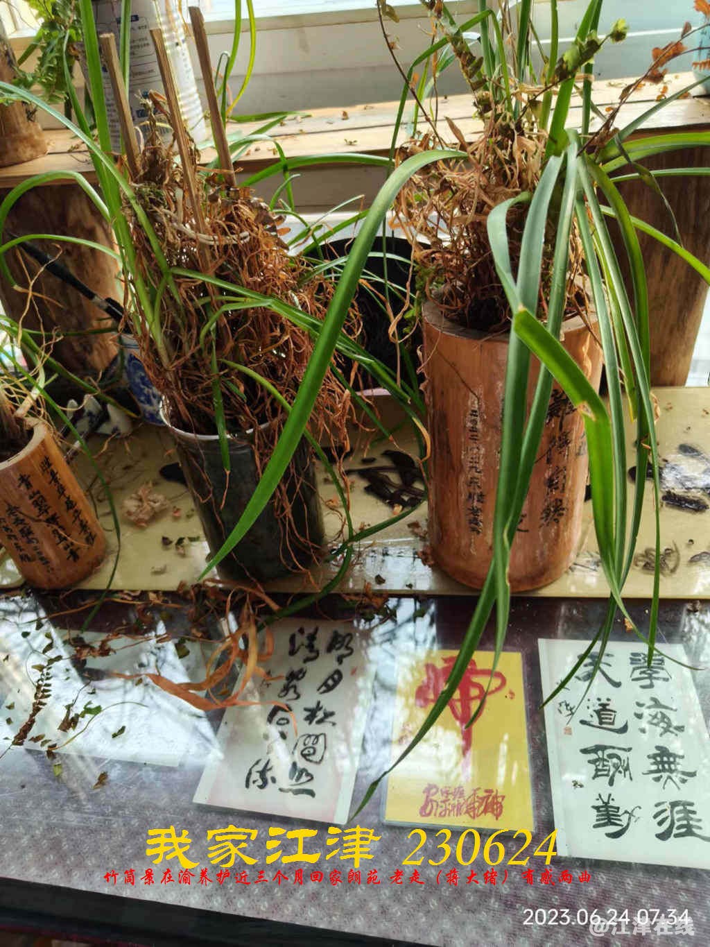 JYZ 20230624 WBQ (4) - 副本.jpg