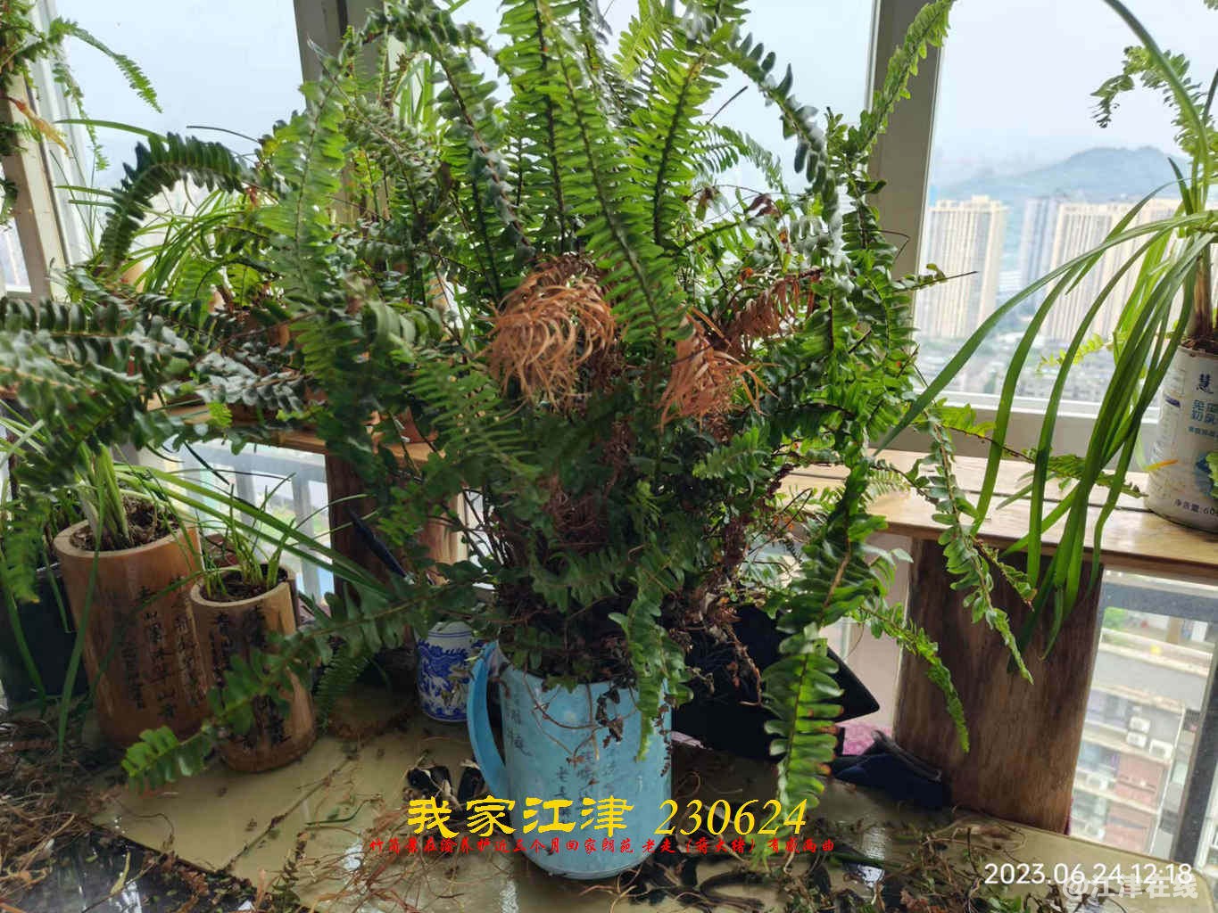 JYZ 20230624 WBQ (12).jpg