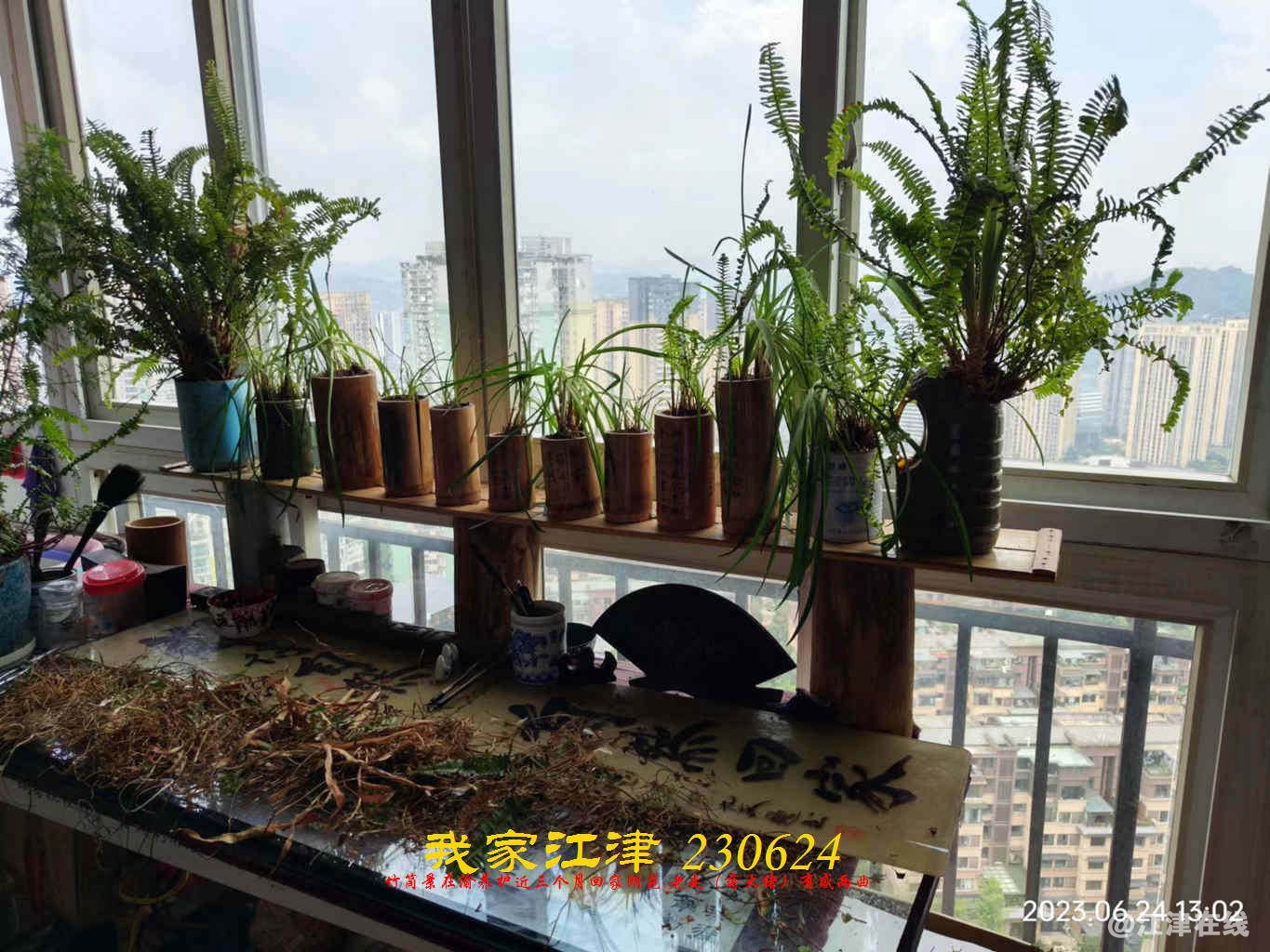 JYZ 20230624 WBQ (20).jpg