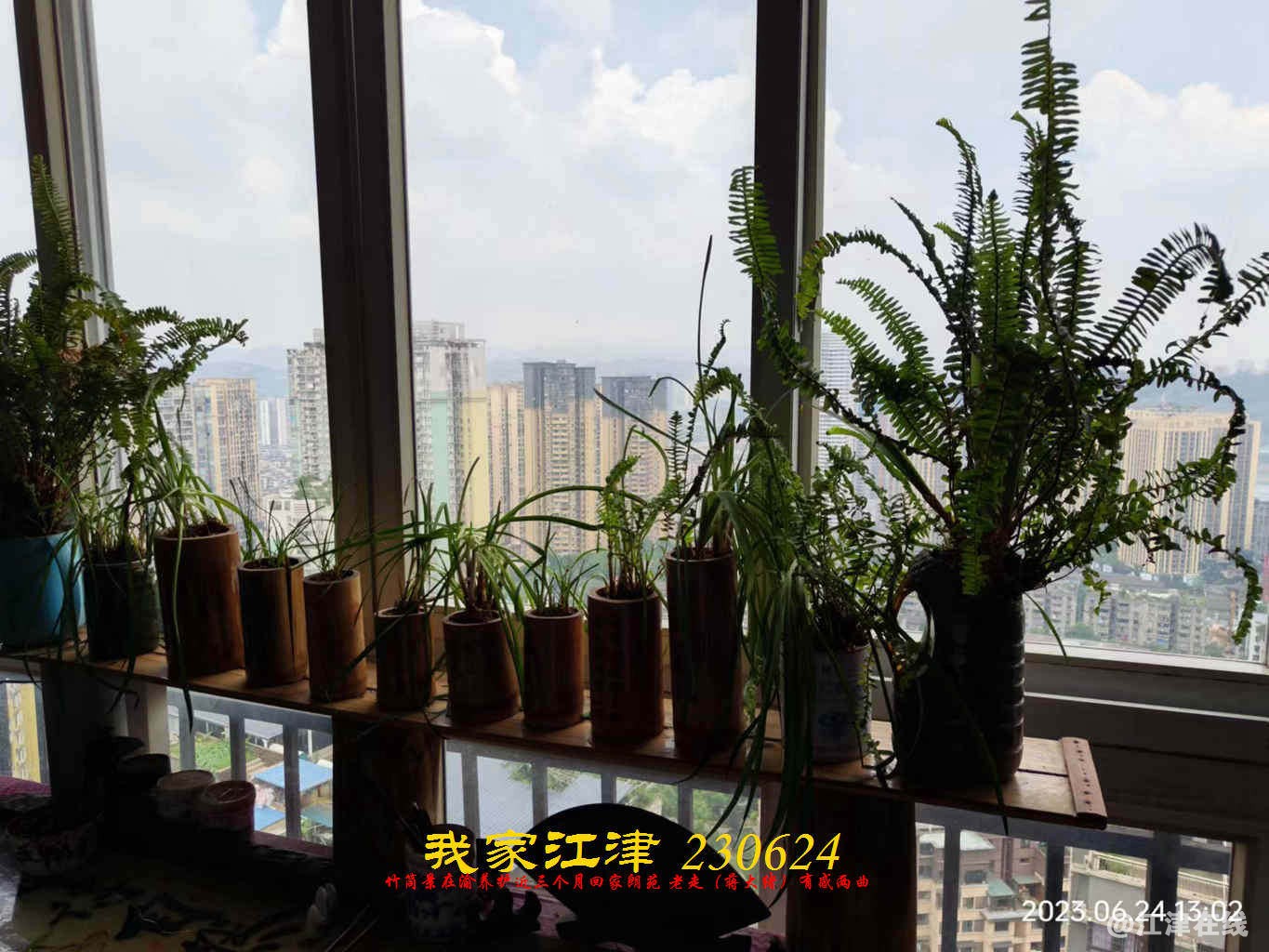 JYZ 20230624 WBQ (22).jpg