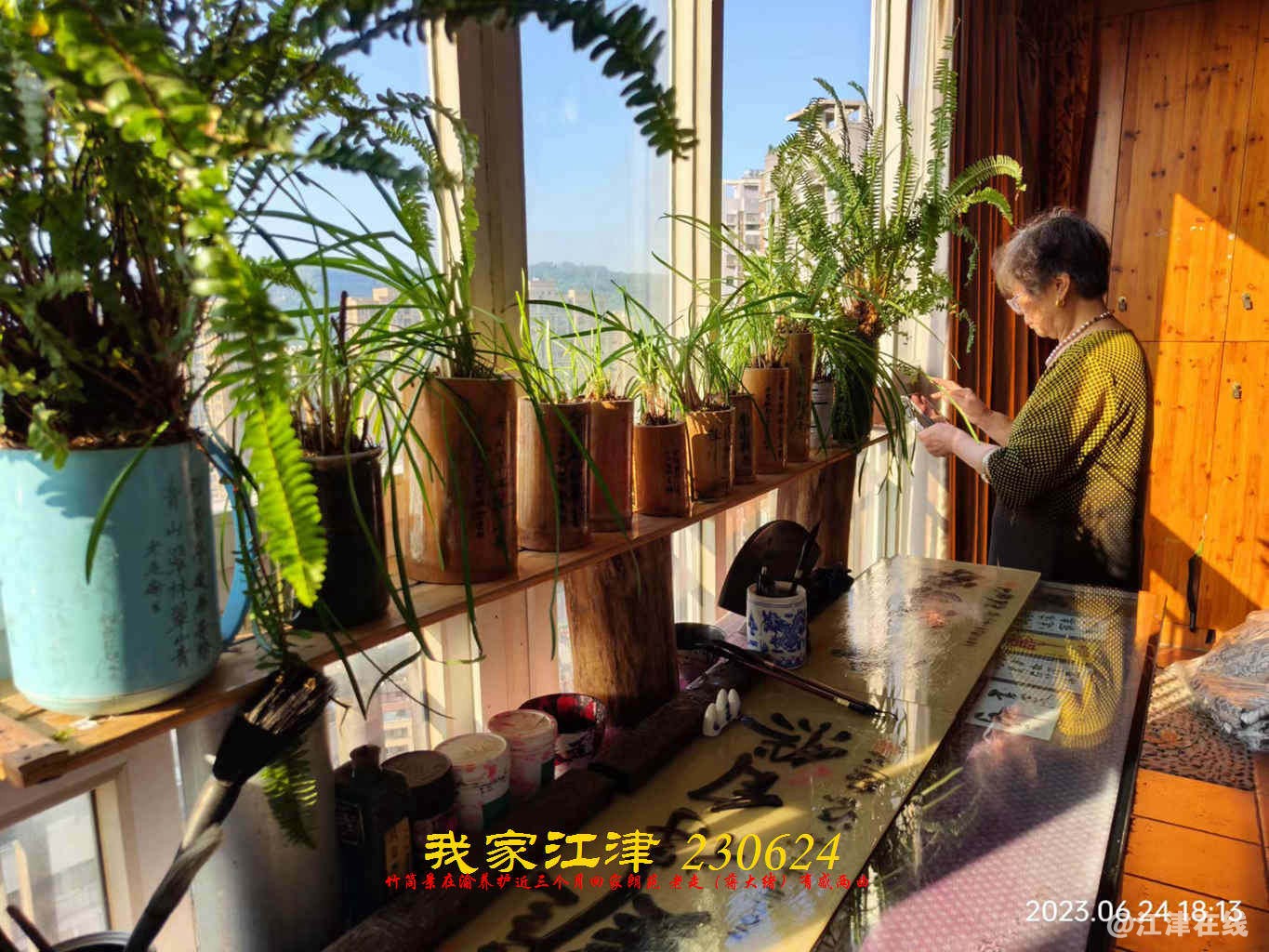 JYZ 20230624 WBQ (31).jpg