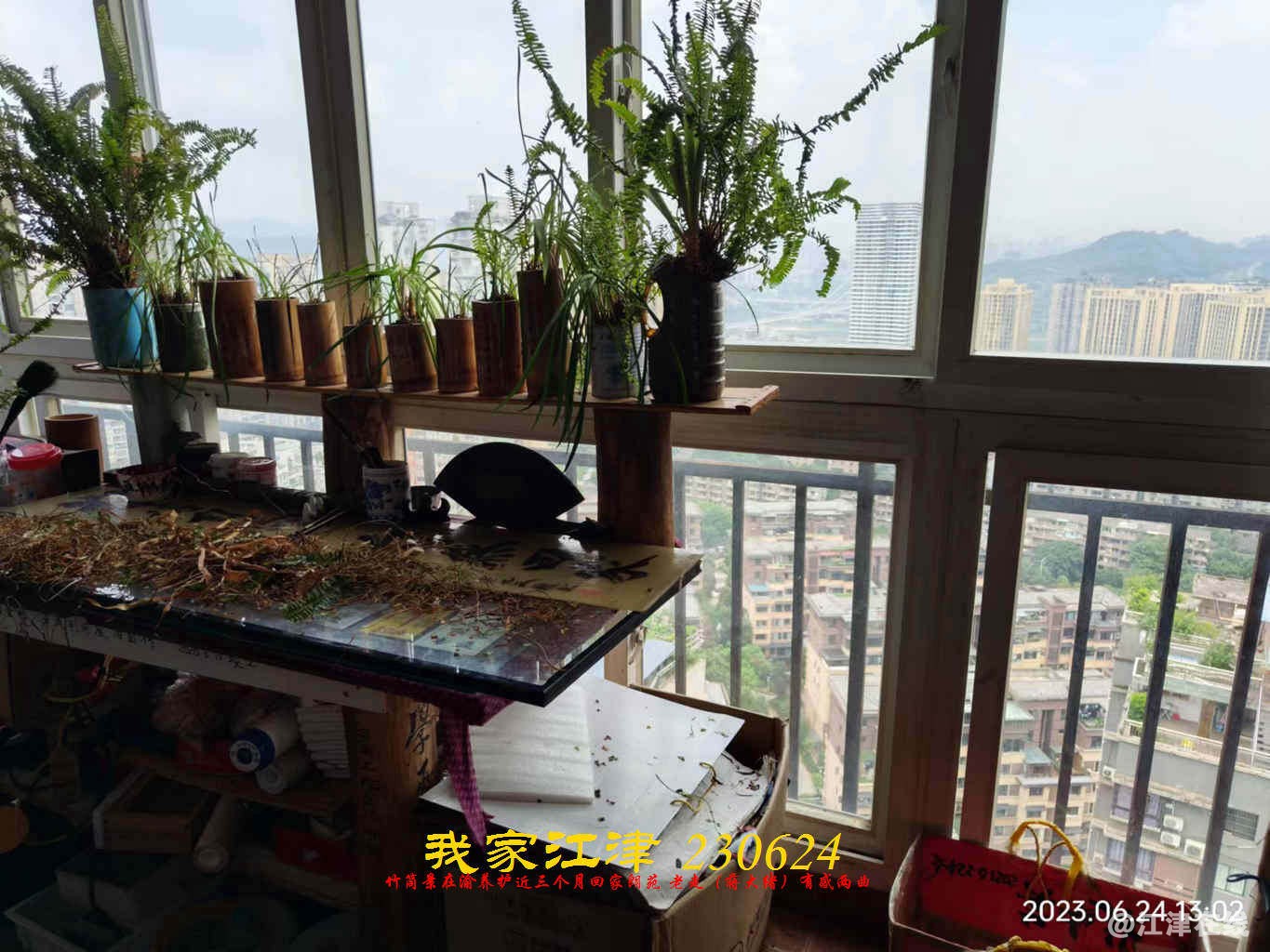 JYZ 20230624 WBQ (21).jpg