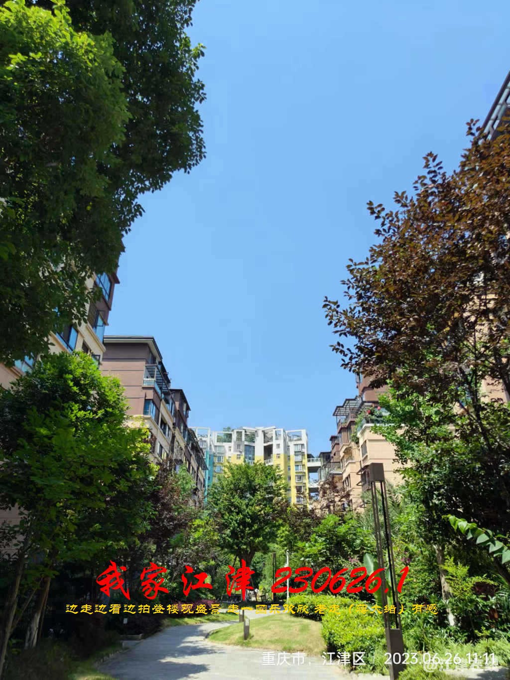 JYZ 20230626.1 WBQ (96).jpg