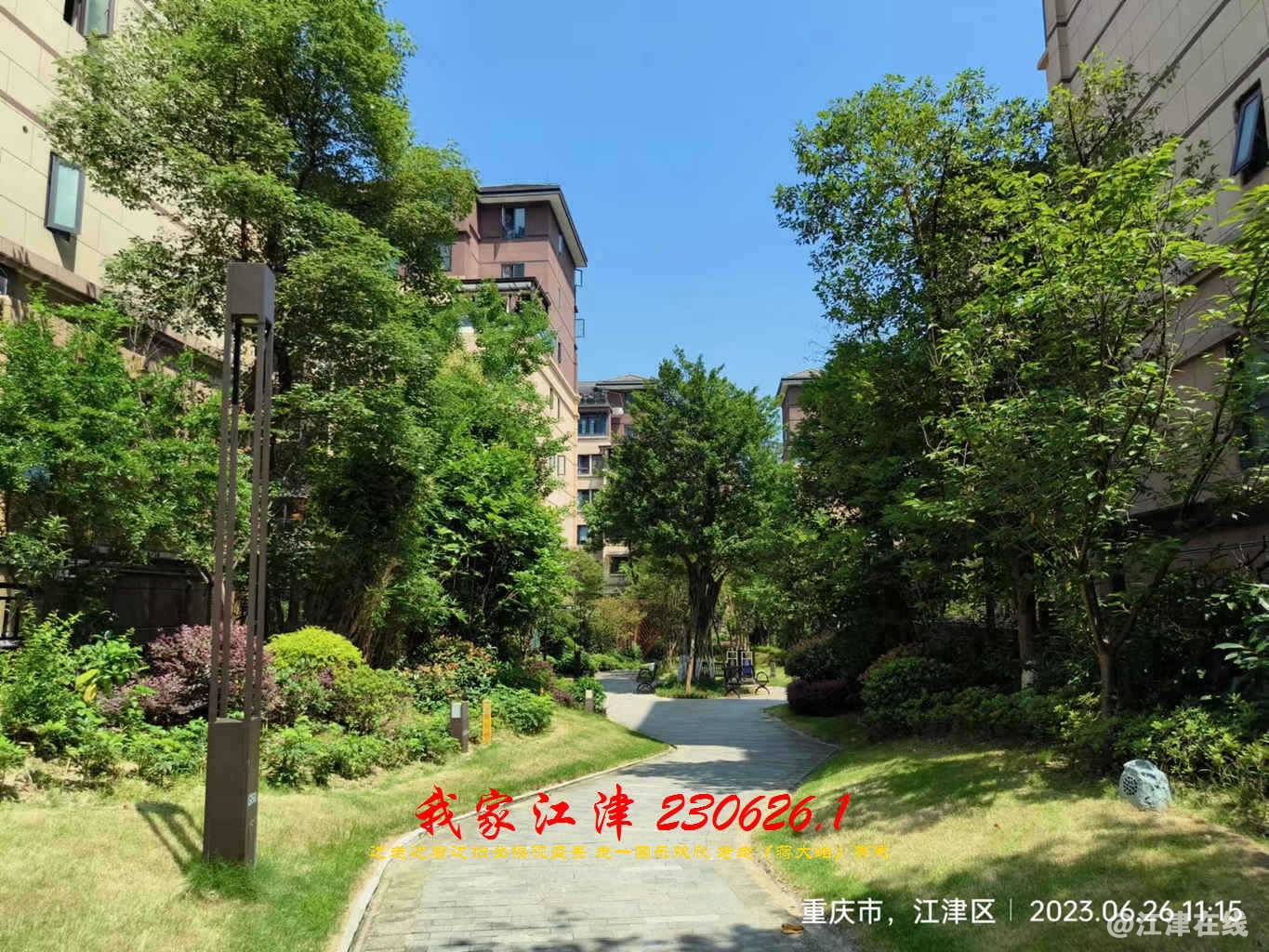JYZ 20230626.1 WBQ (107).jpg