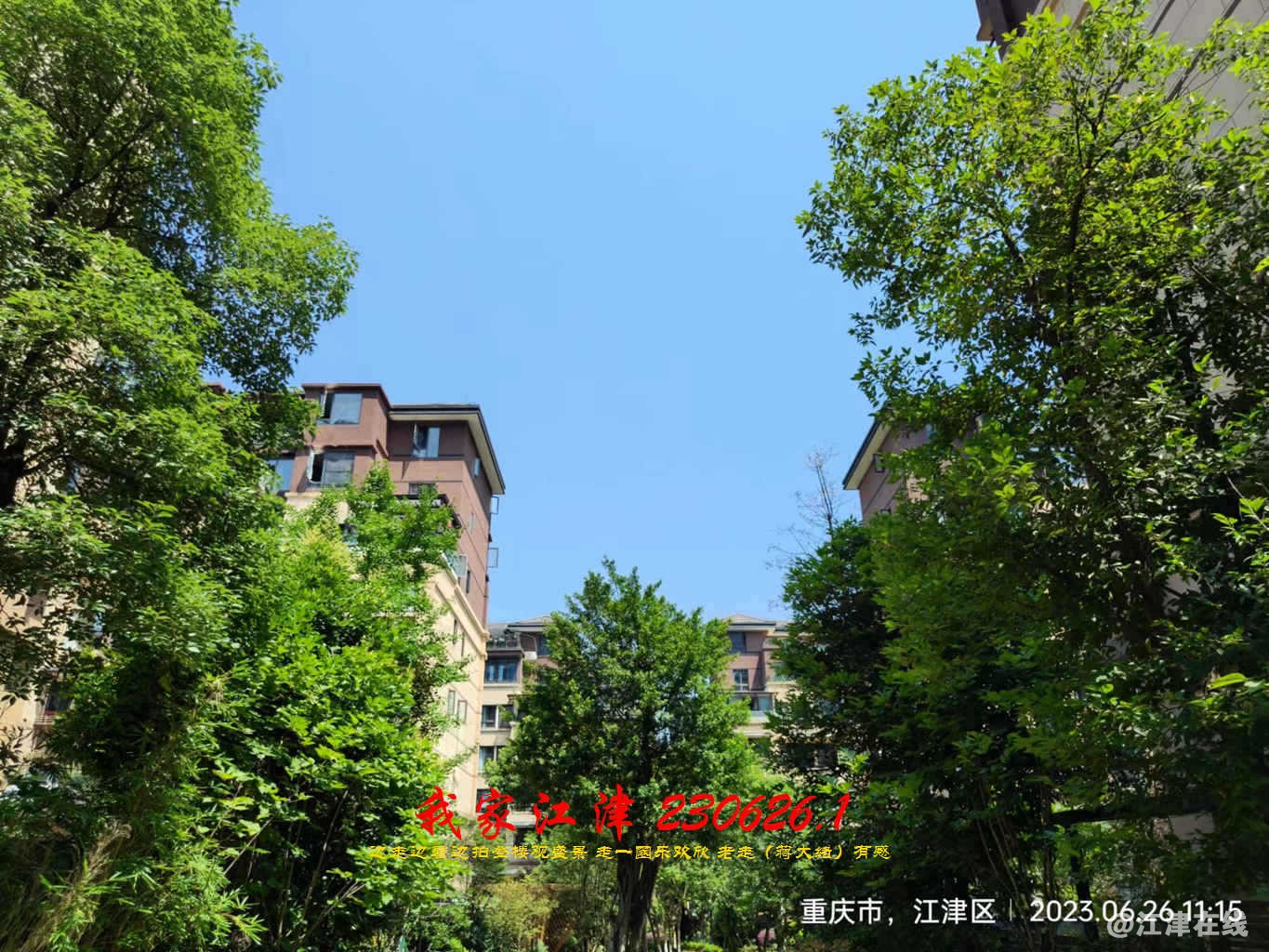 JYZ 20230626.1 WBQ (111).jpg