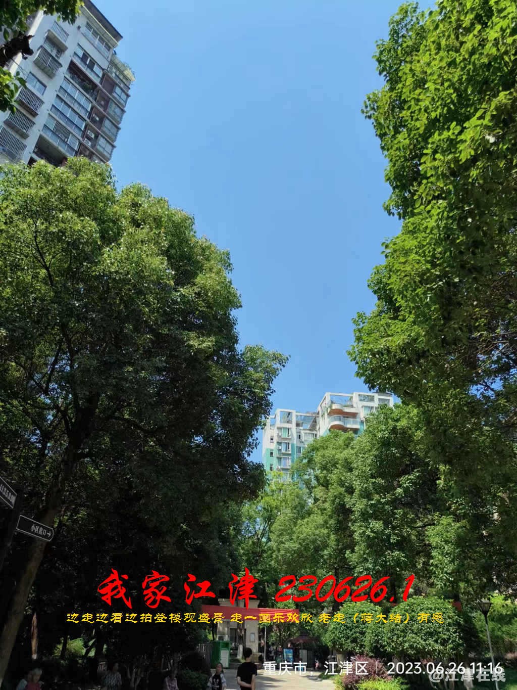 JYZ 20230626.1 WBQ (114).jpg