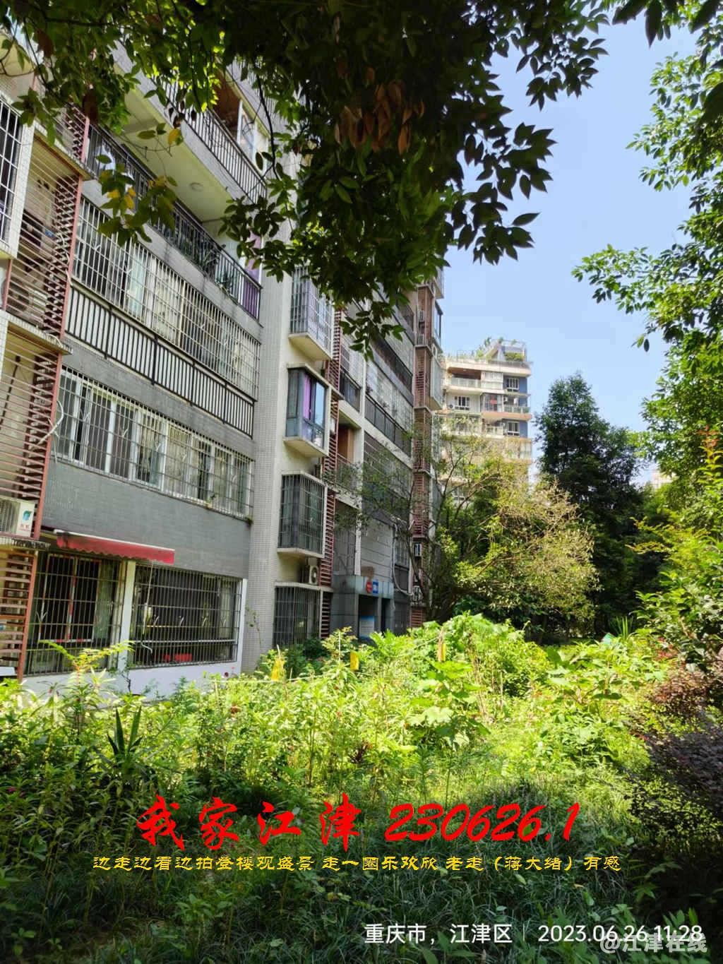 JYZ 20230626.1 WBQ (123).jpg