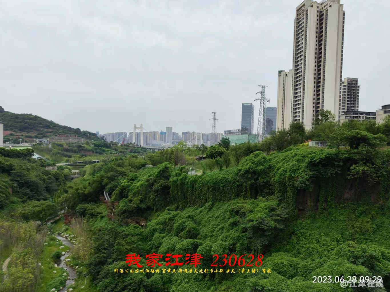 JYZ 20230628 WBQ (26).jpg