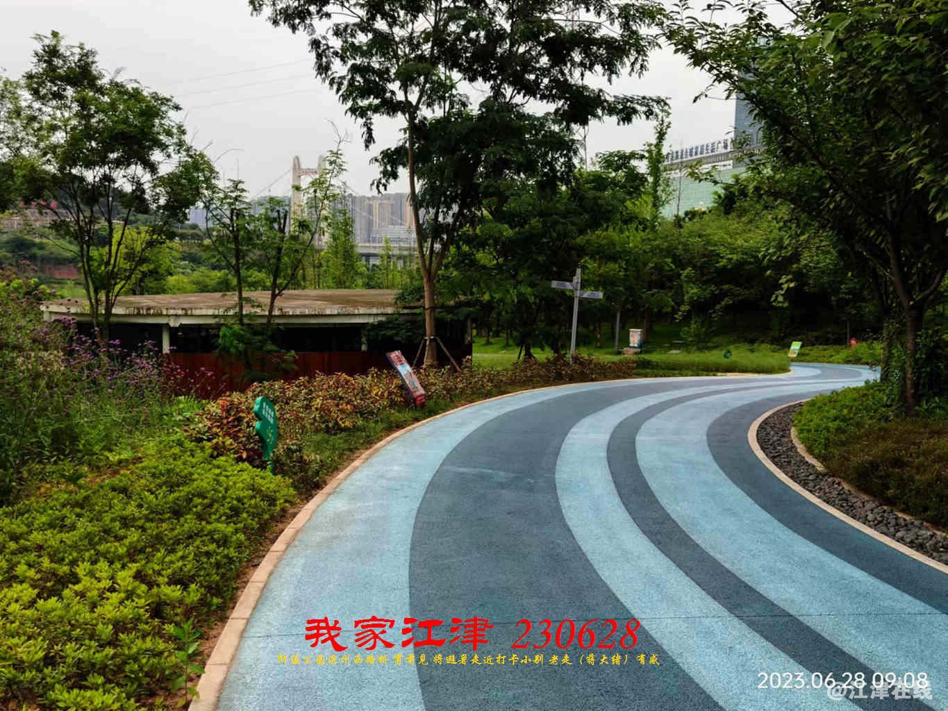 JYZ 20230628 WBQ (8).jpg