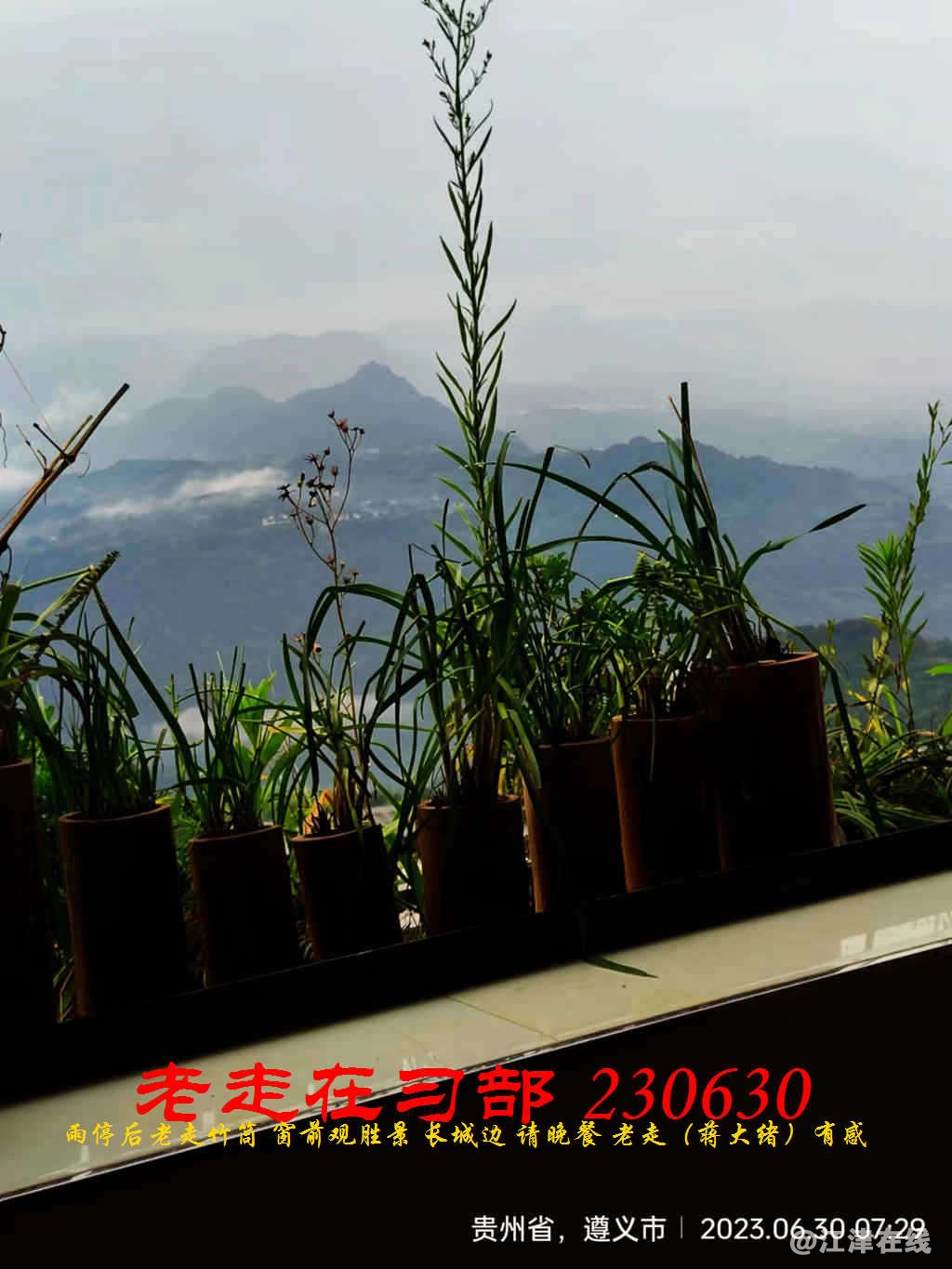 JYZ 20230630 WBQ (13).jpg