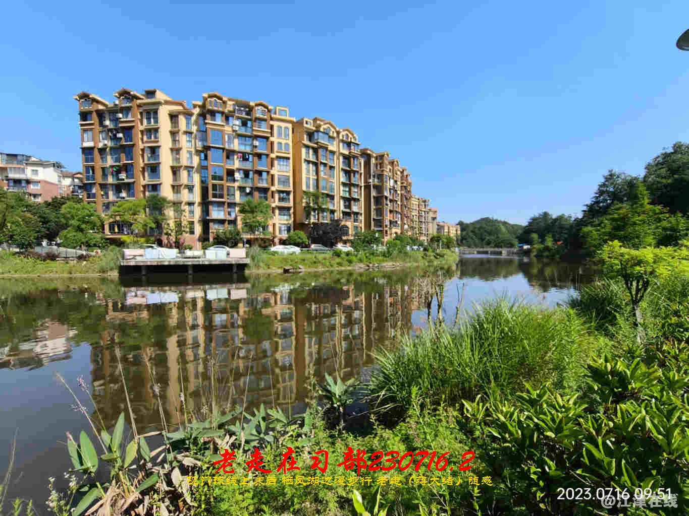 JYZ 20230716.2 WBC (14).jpg
