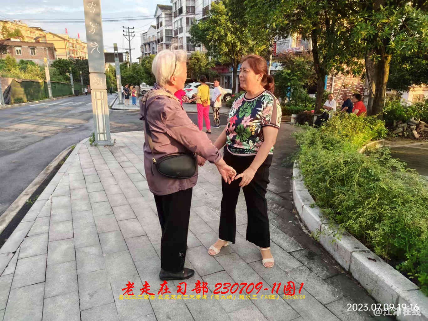 JYZ 20230709-11 T1 WBQ (40).jpg