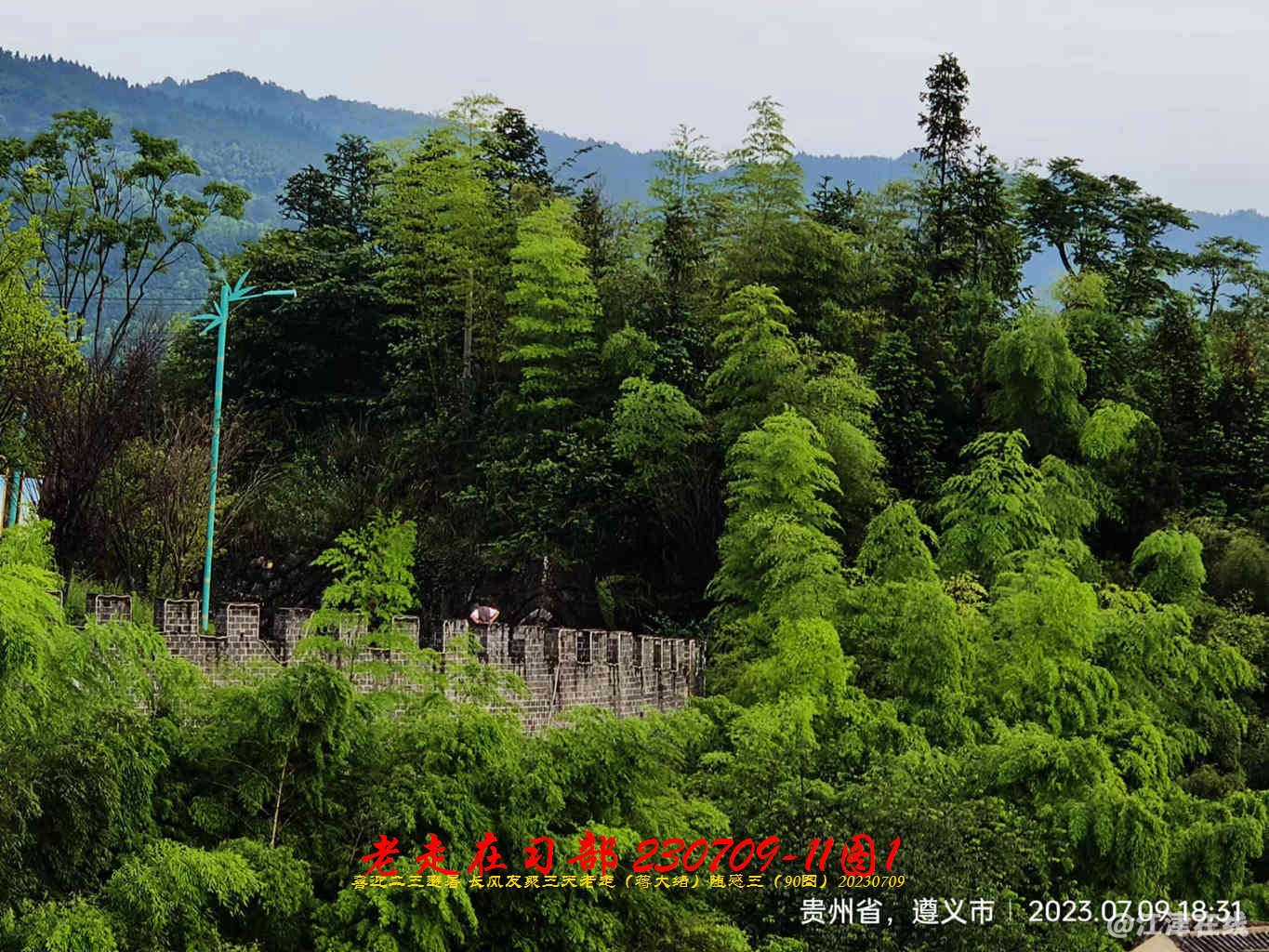 JYZ 20230709-11 T1 WBQ (12).jpg